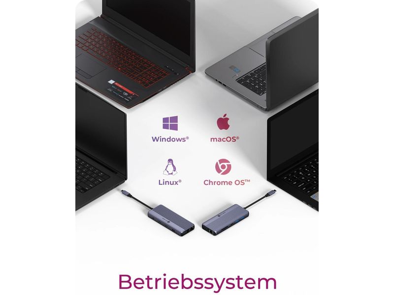 ICY BOX 12-in-1 DockingStation