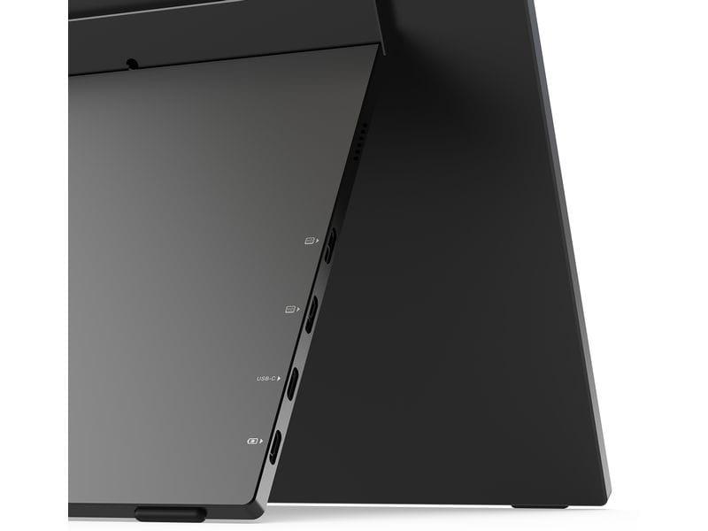 Minix Monitor Dual SF15