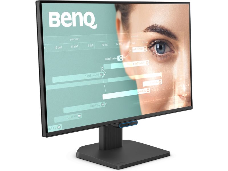 BenQ Monitor GW2490C