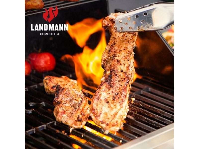 Landmann Gasgrill Rexon PTS 3.1