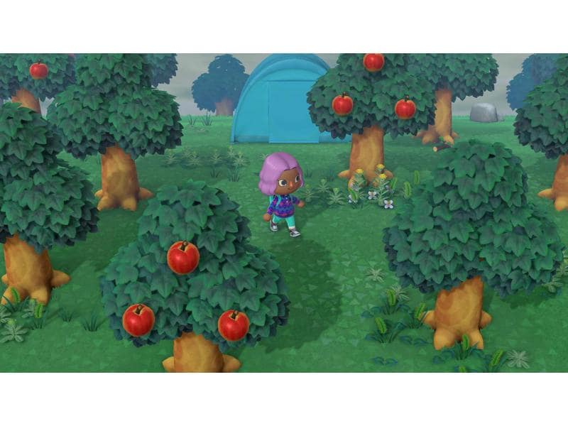 Nintendo Animal Crossing: New Horizons