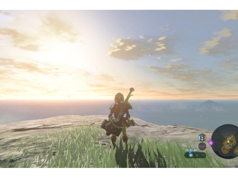 Nintendo The Legend of Zelda: Breath of the Wild