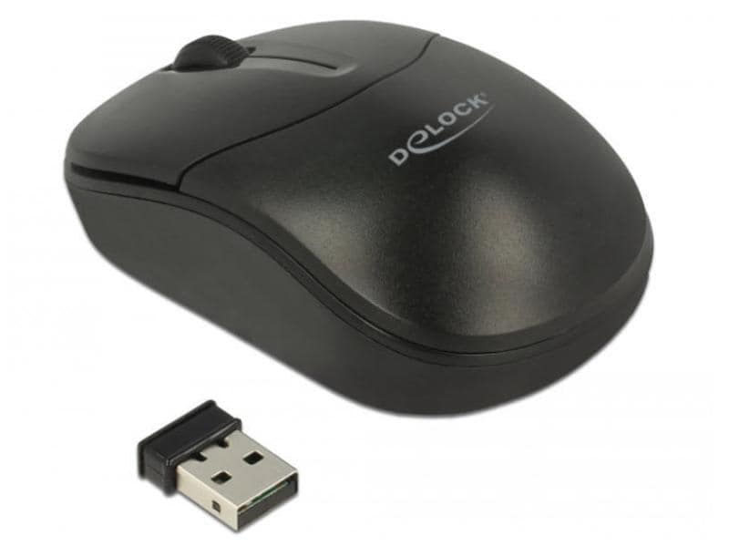 Delock Souris portable 12494 USB sans fil