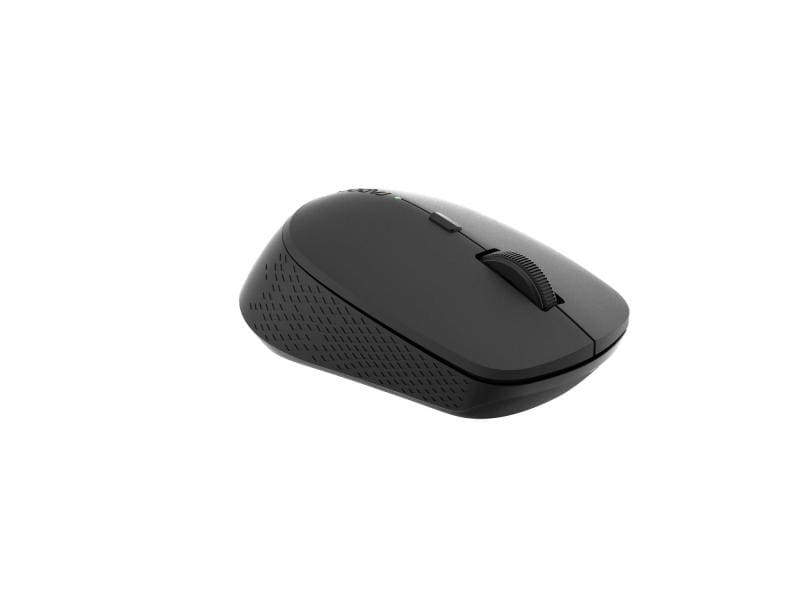 Rapoo Souris M300 Silent Dark Grey