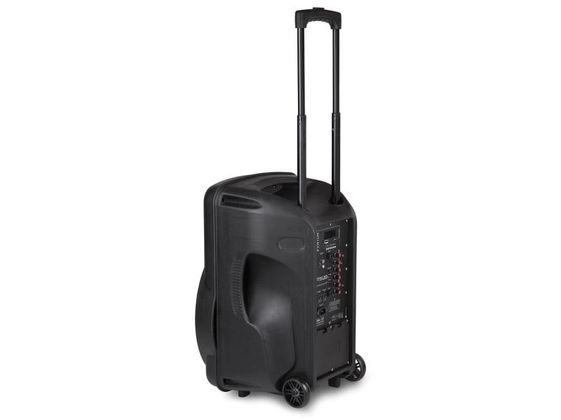 Fenton Haut-parleurs FT15LED Aktiv Trolley-Speaker