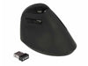 Delock Souris ergonomique 12599 USB sans fil