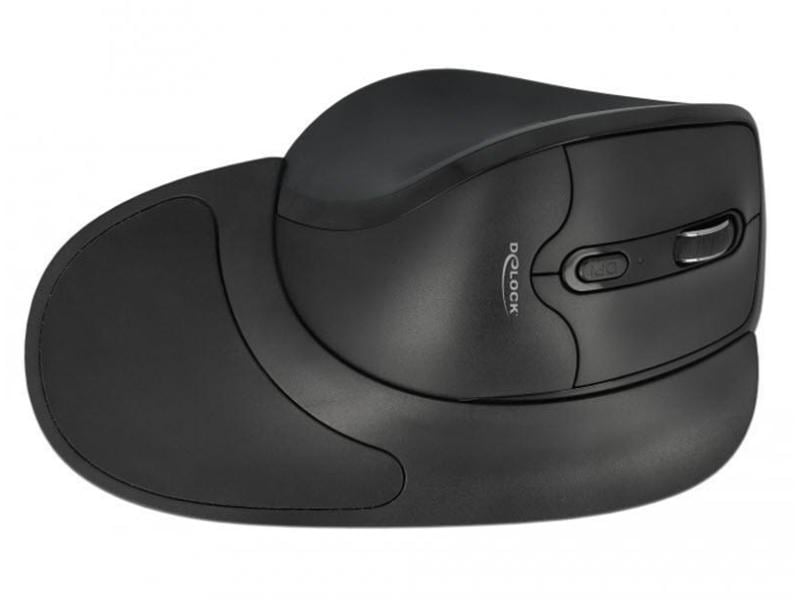 Delock Souris ergonomique 12673 Wireless pour droitiers