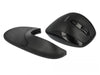 Delock Souris ergonomique 12673 Wireless pour droitiers