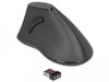 Delock Souris ergonomique 12622 Silent USB sans fil