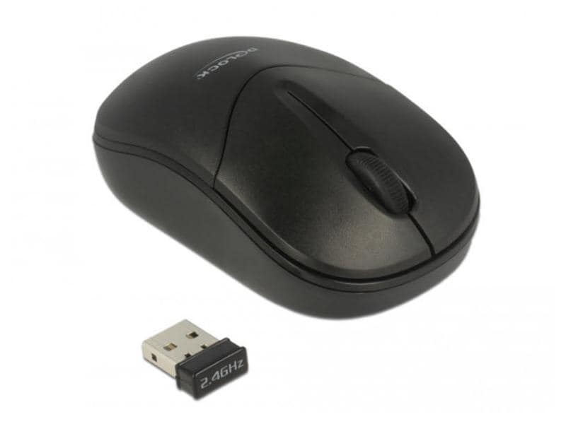 Delock Souris portable 12494 USB sans fil