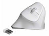 Delock Souris ergonomique 12596 USB sans fil