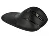 Delock Souris ergonomique 12673 Wireless pour droitiers