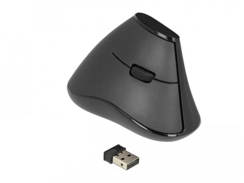 Delock Souris ergonomique 12622 Silent USB sans fil