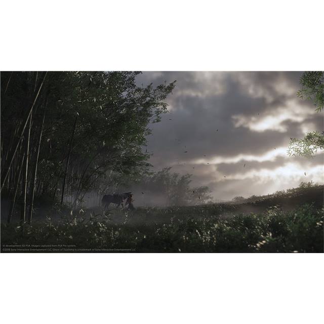 GAME Ghost of Tsushima: Director`s Cut