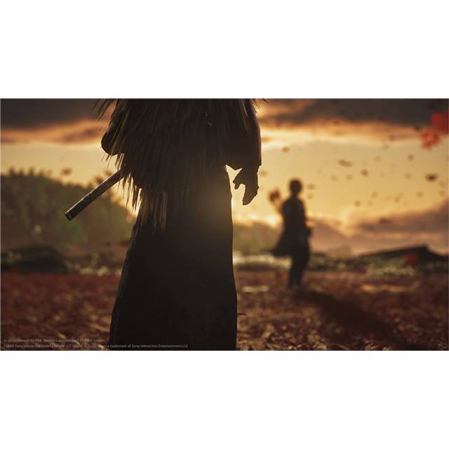 GAME Ghost of Tsushima: Director`s Cut