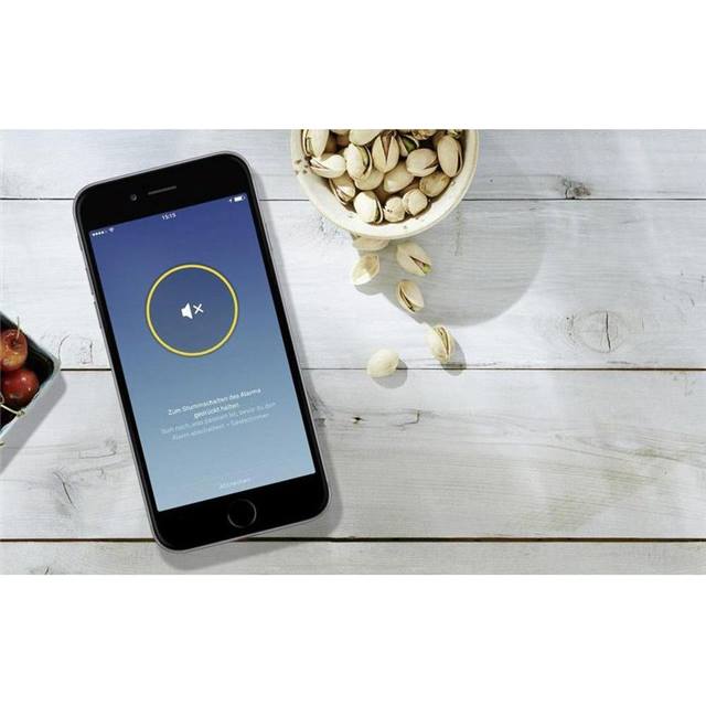 Nest Protect Rauchmelder