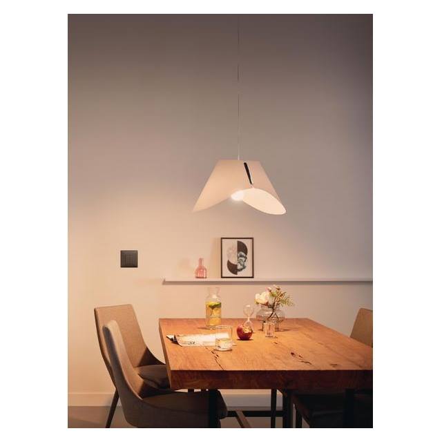 Feller EDIZIOdue Smart Light Control for Philips Hue - braun