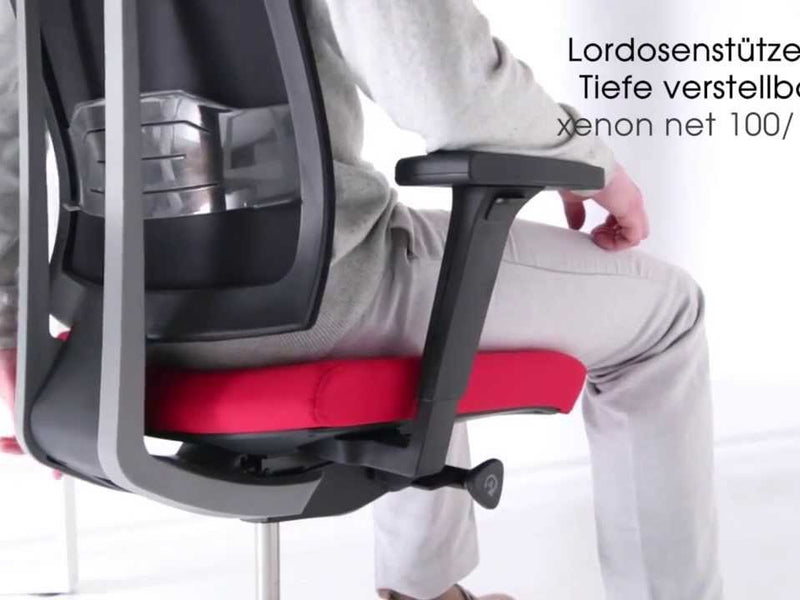 Profim Chaise de bureau Xenon Net 100S avec dossier en maille Gris foncé