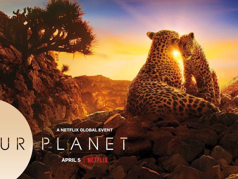 Philips Barre de son TAB8805/10