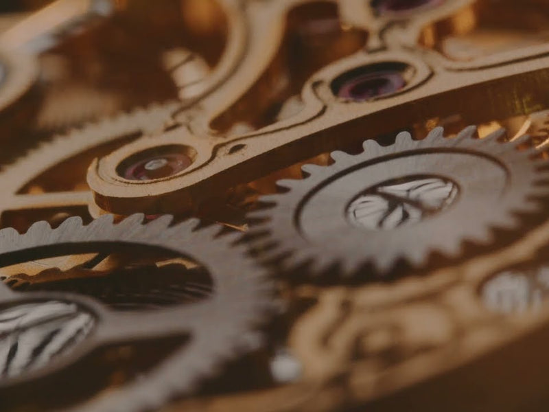 Venus Optic Festbrennweite Laowa 100mm T2.9 2X Macro APO – Canon RF