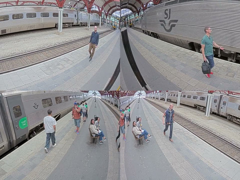 Axis Netzwerkkamera P3738-PLE Panoramic