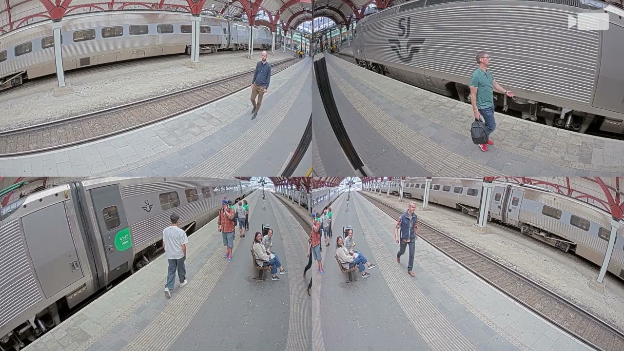 Axis Netzwerkkamera P3738-PLE Panoramic