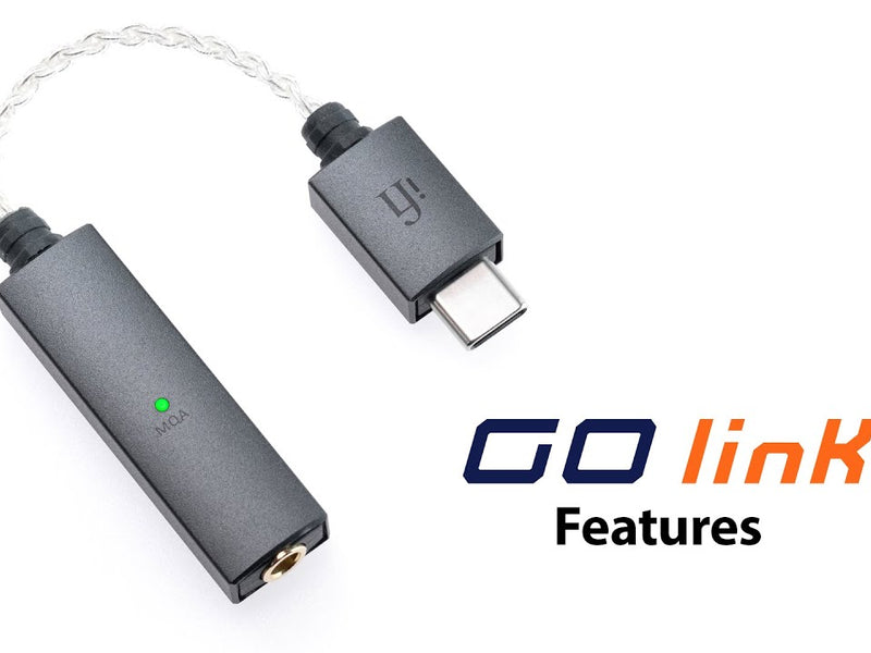 iFi Audio Kopfhörerverstärker & USB-DAC GO-Link