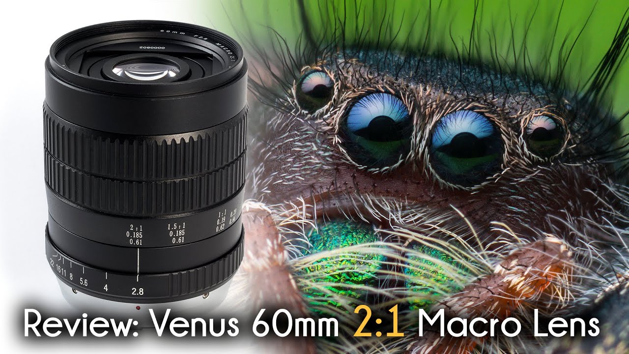 Laowa Longueur focale fixe 60 mm F/2.8 2x Ultra Macro – Canon EF