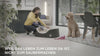 BLACK+DECKER Akku-Handsauger Dustbuster Pet