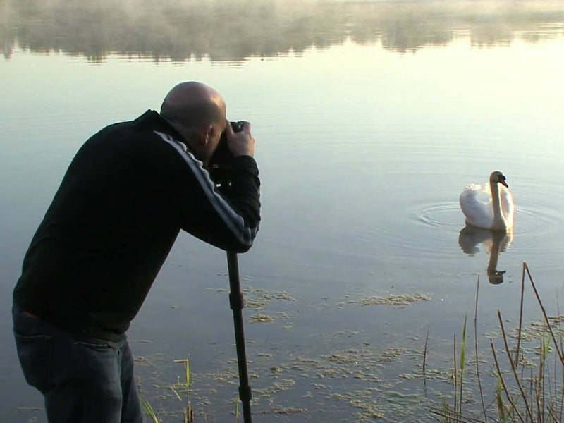 Benro Einbeinstativ Series 3 Mach3 Carbon MMA38C