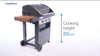 Campingaz Gasgrill 3 Series Woody LD